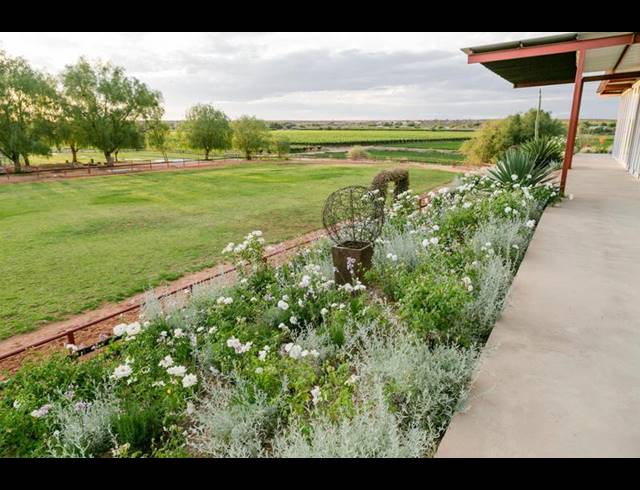 FARM FOR SALE IN UPINGTON CENTRAL